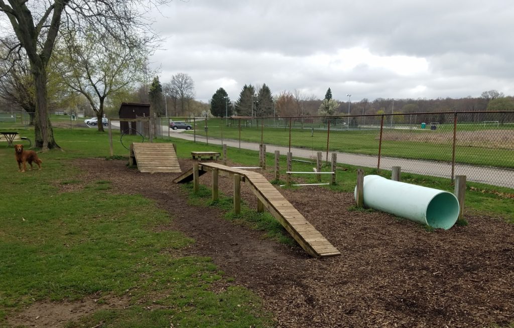 Bow Wow Beach Agility Course