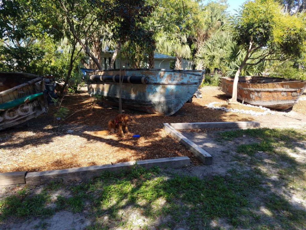 Botanical Garden Refugee Boats