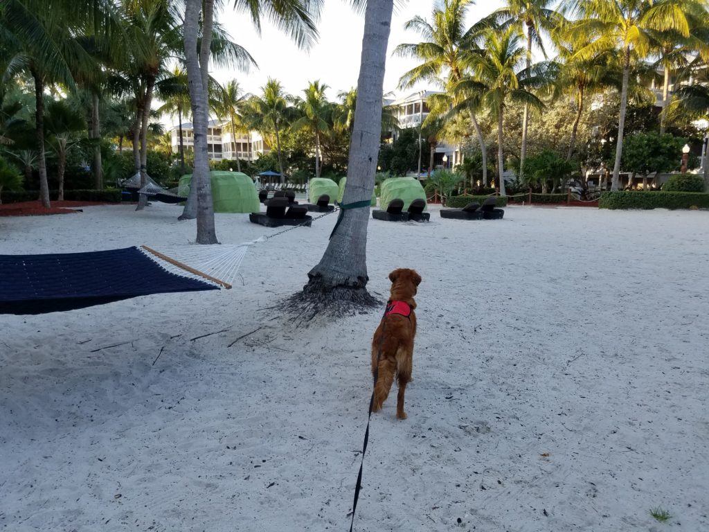 Nola At Condo Beach