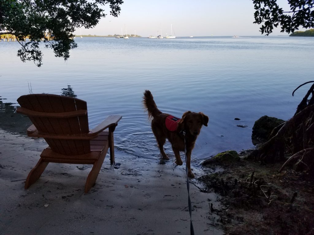 Nola At Condo Beach