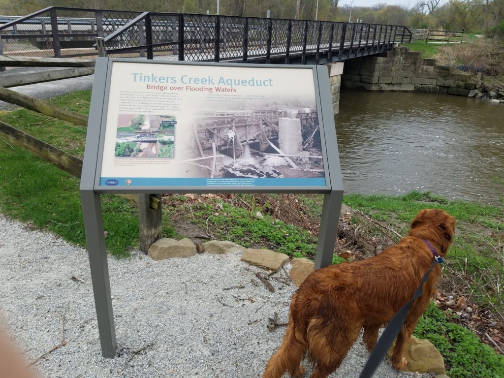 Nola at the Tinkers Creek Aqueduct at Cuyahoga Valley National Park.
