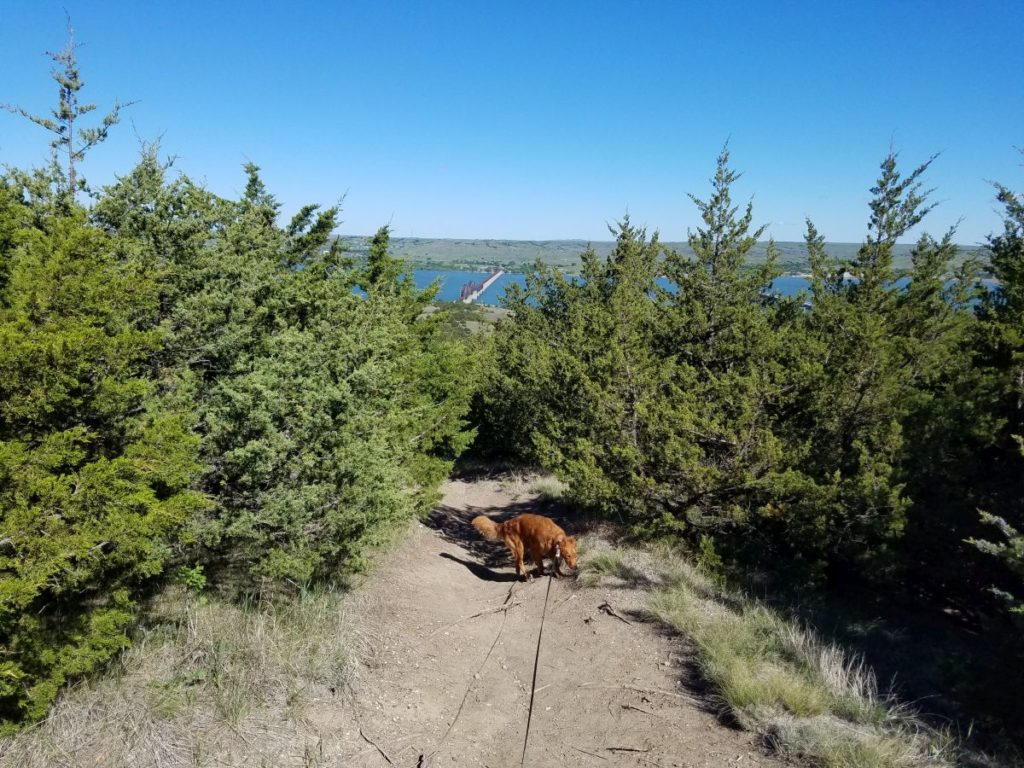 Nola on a trail near the Missouri River