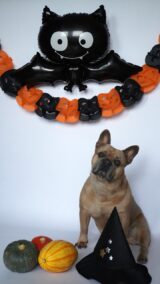 Halloween Pupper