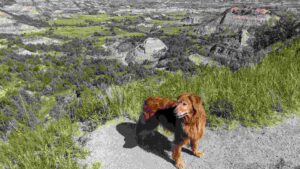 Nola the Golden Retriever at Roosevelt National Park